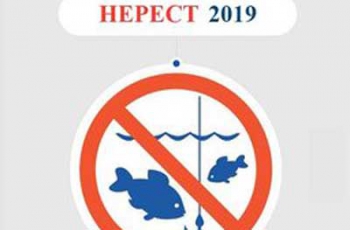 С 1 апреля в Украине вводится запрет на вылов рыбы и раков фото