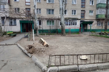 За снос дерева старшему по дому грозит штраф фото