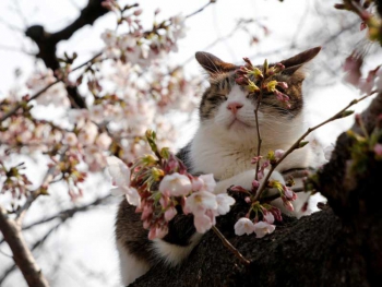 Прогноз погоды в Мелитополе фото