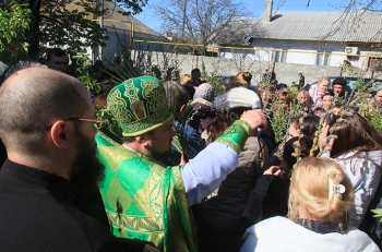 Мелитопольцы толпами ринулись святить вербу (ФОТО, ВИДЕО) фото