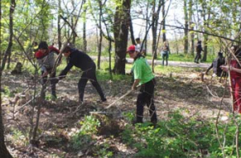 За месяц в Мелитополе очистили 1,5 гектара зеленых зон фото