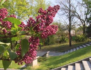 Афиша выходных в Мелитополе: Чемпионаты Украины по футболу и богатырскому многоборью фото