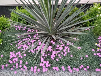 Прогноз погоды в Мелитополе на 16 мая фото