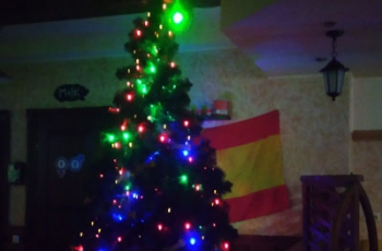 Полгода не срок: мелитопольцы встретят лето с елкой  фото