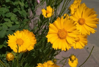 Прогноз погоды в Мелитополе на 30 мая фото