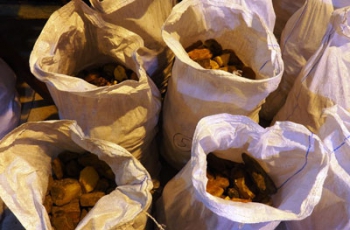 Гражданин Украины нелегально провозил на территорию Польши огромную партию янтаря фото