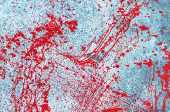 Странная надпись в доме с двумя трупами озадачила следствие фото