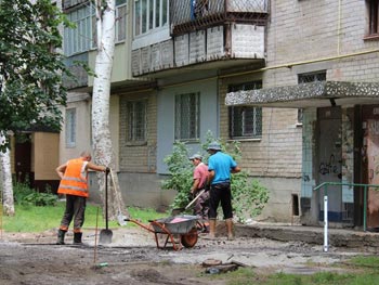 Дерево с крестом снесут на следующей неделе фото