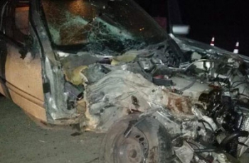 В Запорожской области произошла смертельная автокатастрофа фото