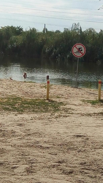 Запретный плод сладок: мелитопольцы продолжают купаться в скандальном озере фото