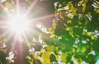 Прогноз погоды в Мелитополе на 29 июня фото