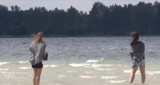 Самое глубокое озеро Украины на грани исчезновения: экологи бьют тревогу  фото