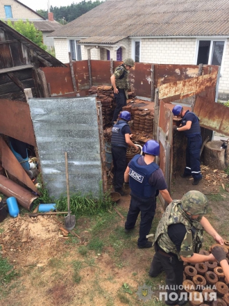 Изъяли арсенал в доме под Ровно, где погибли двое детей фото