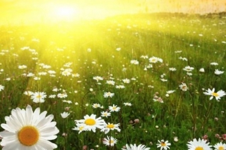 Прогноз погоды в Мелитополе на 21 июля фото