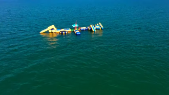 В Азовском море появилась диковинка фото