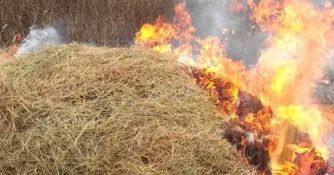 Пожар уничтожил 4 тонны сена в Акимовском районе фото
