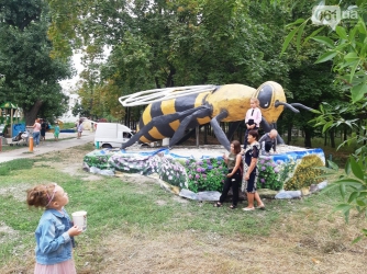 В Запорожской области установили памятник пчеле фото