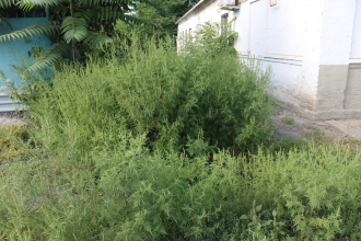 Коммунальщики забыли или «забили»: почему жителей нижней части города топит во время дождей фото