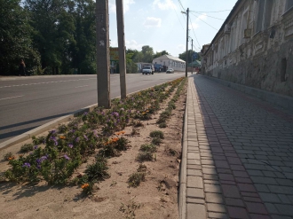 Поле чудес в городе дураков: в Мелитополе в капитально отремонтированный тротуар зароют еще 2 миллиона фото