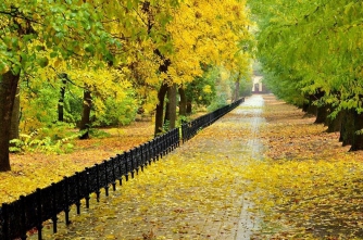 Красоты Мелитополя: осень (МНОГО ФОТО) фото