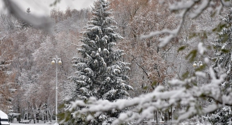 Получат ли украинцы снег на Новый год: прогноз от известного астролога фото