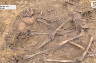 Более 60 жертв: на Львовщине обнаружили десятки расстрелянных тел фото