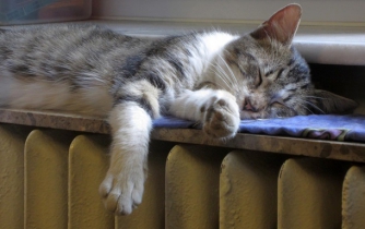 Во всех областях Украины включили отопление фото