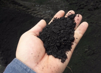 С повестки дня Рады исчез законопроект о запуске рынка земли: названа причина фото