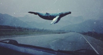 Синий кит вернулся: школьница рассказала матери о группах смерти и покончила с собой  фото