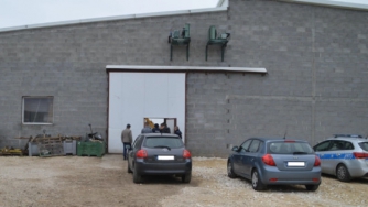 В Польше в холодильной камере нашли двух мертвых украинцев фото