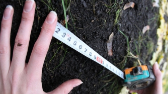 Названа стоимость гектара после открытия рынка земли фото