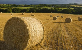 В Минэкономики рассказали о кредитах на землю для украинцев фото