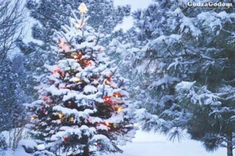 Погода на Новый год в Украине: синоптики ошарашили прогнозом  фото