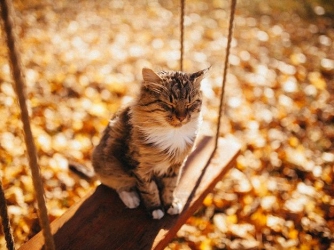 В Украину еще придет потепление: синоптик назвала дату фото