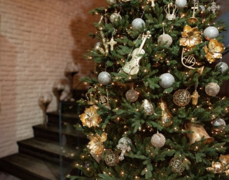 Лесничества начали продавать новогодние елки: цена праздничного дерева фото