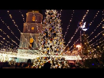 Для главной елки страны вырубили 400 деревьев фото