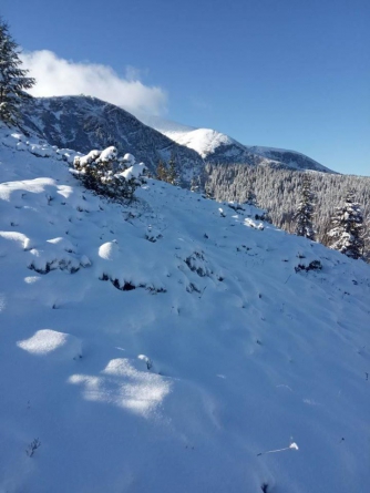 Украинские Карпаты засыпало снегом: впечатляющие фото  фото