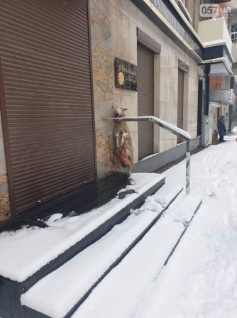 В Харькове повесили труп овечки у входа в меховой бутик фото