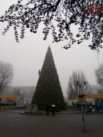 В центре Запорожья украсили главную городскую елку  фото