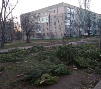 Памятник жадности и свинству - в Мелитополе появилось кладбище елок фото