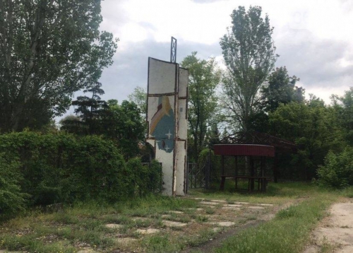 В Запорожье на Великом Лугу ради постройки коттеджа вырубили деревья фото