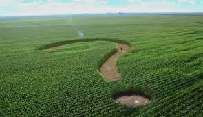 На два дня работы, - Давид Арахамия о рассмотрении поправок к земельного законопроекту фото