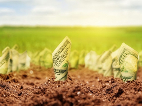 Сейчас, по сути, украинской землей владеют иностранцы – депутат фото