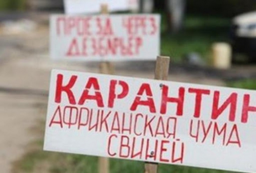Какие еще села из-за чумы в Орлово пострадали фото