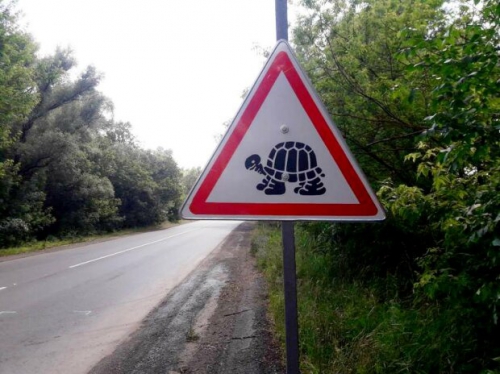 Водители, внимание. В Украине появились новые дорожные знаки. Как выглядят фото