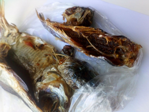 В мелитопольском рыбцехе продают тарань с червями  фото