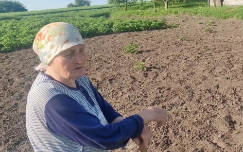 Украинцам готовят приятный сюрприз: что будет с зарплатами и пенсиями фото