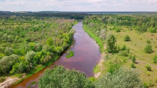 Через несколько лет в Украине могут пересохнуть реки фото