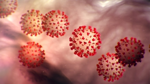Заболеваемость коронавирусом в Мелитополе растёт фото