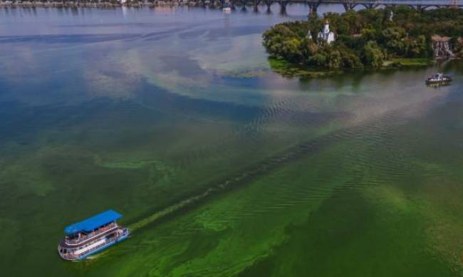 В Днепре река поменяла цвет и стала изумрудной: экологи назвали причины фото